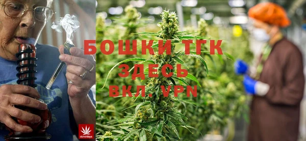 эйфоретик Аркадак