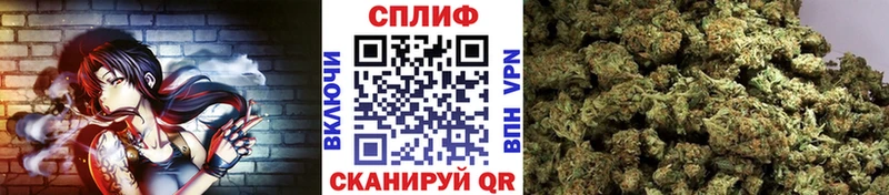 Шишки марихуана семена  цены наркотик  Таруса 